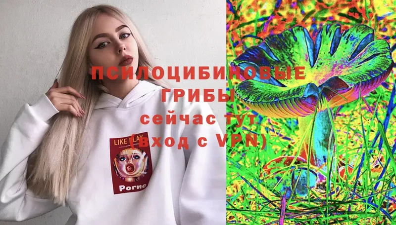 Галлюциногенные грибы Psilocybe  Отрадное 